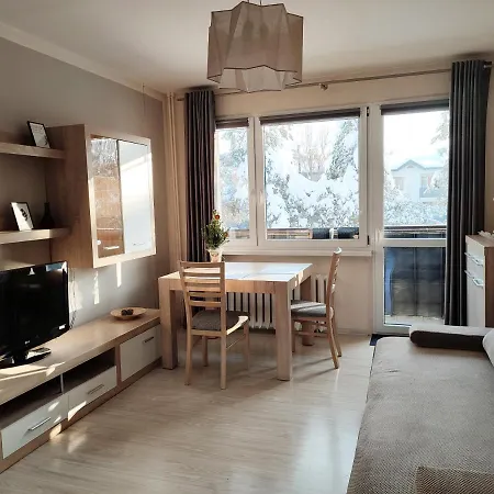 Apartament - Studio 2 *